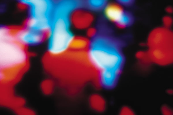 photo. © Sascha Weidner