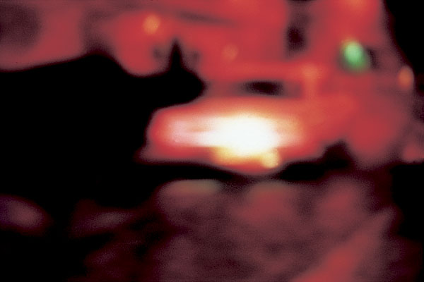 photo. © Sascha Weidner
