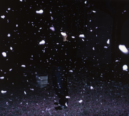 photo. &copy; Sascha Weidner