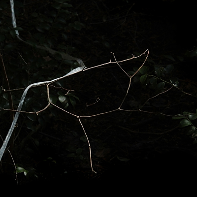 photo. © Sascha Weidner
