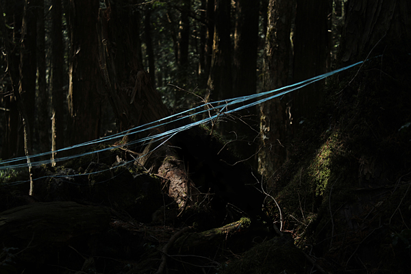 photo. © Sascha Weidner