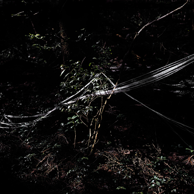 photo. © Sascha Weidner