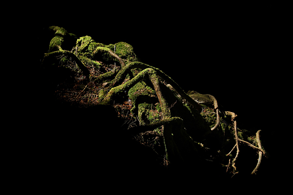 photo. © Sascha Weidner
