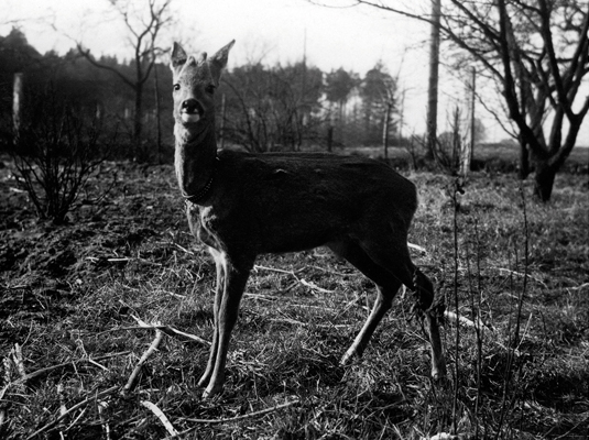 photo. © Sascha Weidner