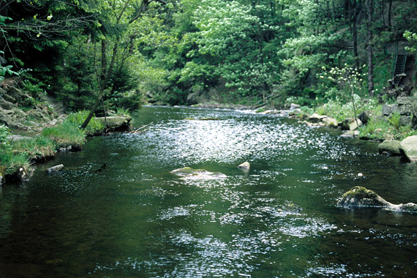 photo. &copy; Sascha Weidner