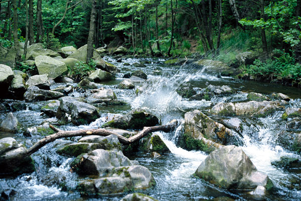 photo. &copy; Sascha Weidner