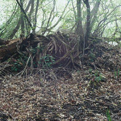 photo. &copy; Sascha Weidner