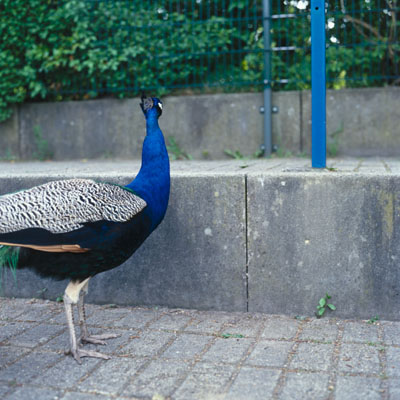 photo. &copy; Sascha Weidner