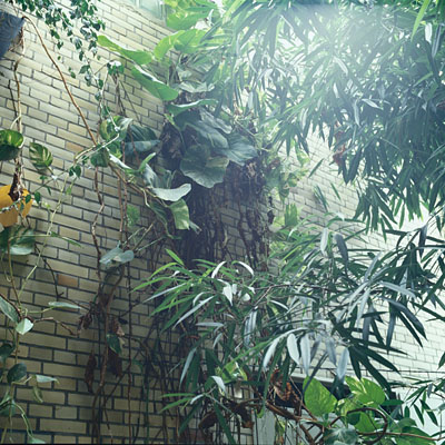 photo. &copy; Sascha Weidner