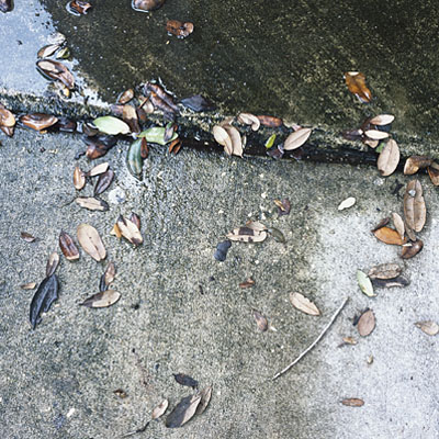 photo. &copy; Sascha Weidner