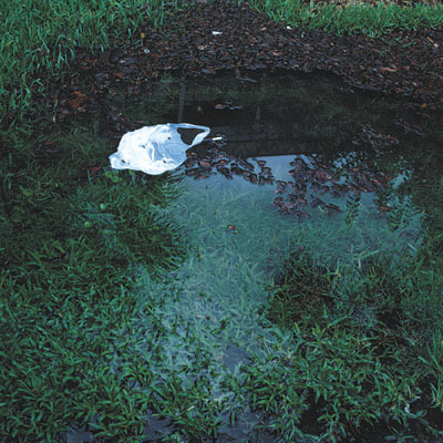 photo. &copy; Sascha Weidner