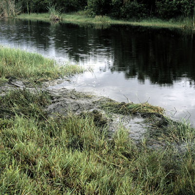 photo. &copy; Sascha Weidner