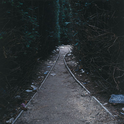 photo. © Sascha Weidner