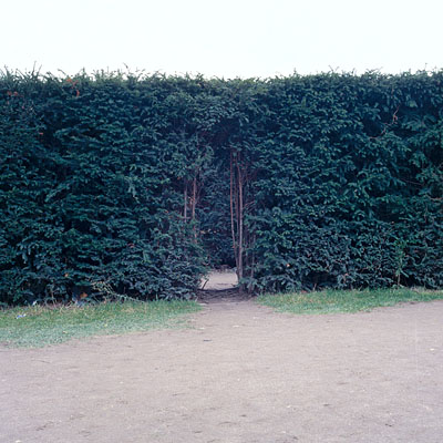 photo. © Sascha Weidner