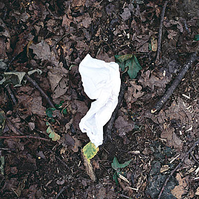 photo. © Sascha Weidner