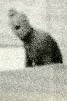 photo. © Sascha Weidner