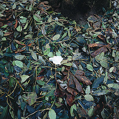 photo. &copy; Sascha Weidner