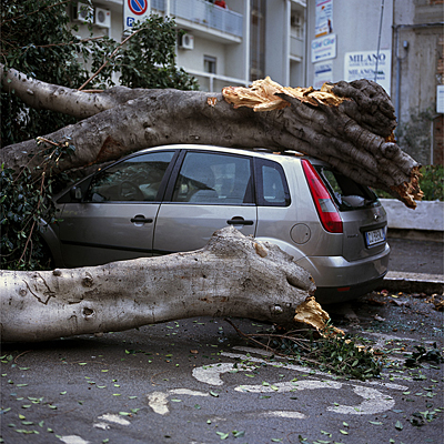 photo. © Sascha Weidner