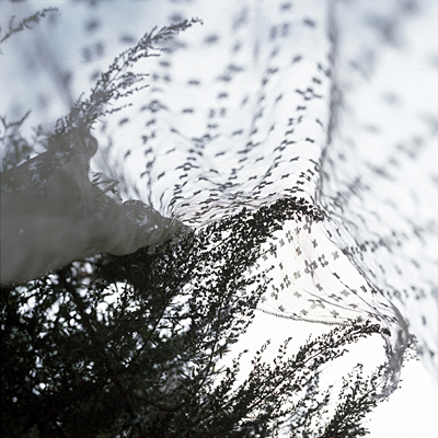 photo. © Sascha Weidner