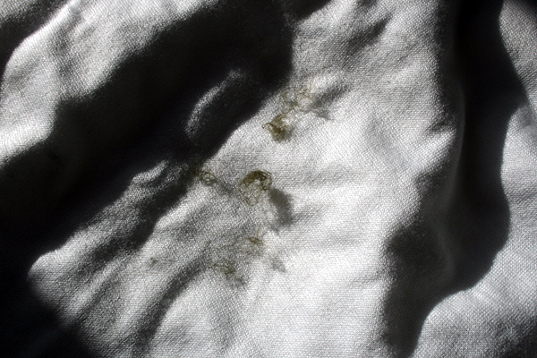 photo. © Sascha Weidner