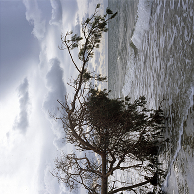 photo. © Sascha Weidner
